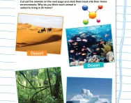 Introduction to habitats: animal homes activity