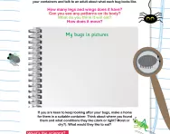Investigating bugs worksheet