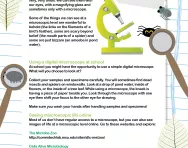 Learning about living things: using a microscope