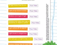 Light and shadows true or false worksheet