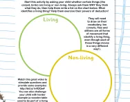Living or non-living worksheet