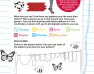 Looking for patterns