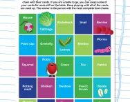 Make your own food chains game