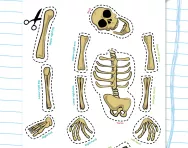 Make your own skeleton puppet activity