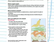 Making your own compost activity