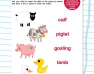 Match the baby animal worksheet