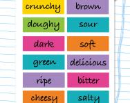 Matching nouns and adjectives worksheet