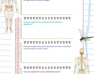 Moving and growing worksheet