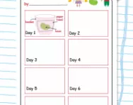 My bean growing diary 2