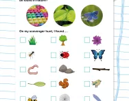 Nature scavenger hunt