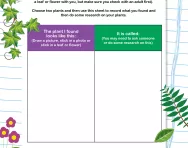 Observing plants in your environment worksheet