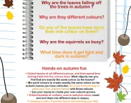 Observing the seasons: autumn