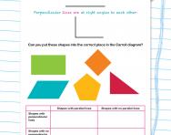 Parallel and perpendicular lines in 2D shapes