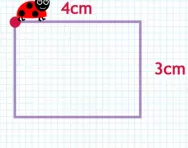 Working out the perimerter of a 2D shape tutorial