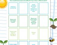 Plant life cycles worksheet