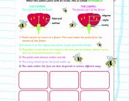Pollination and fertilisation worksheet
