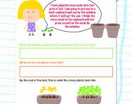 Predictions and conclusions: life cycles worksheet