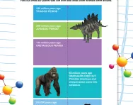 Prehistory timeline worksheet