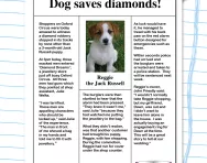Reading comprehension: Dog saves diamonds