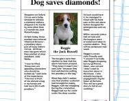 Reading comprehension: Dog saves diamonds