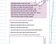 Reading comprehension: My Little Brother