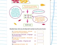 Reducing ratios to their lowest terms