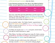 Replacing nouns with pronouns worksheet