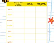 Researching invertebrates worksheet