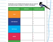 Researching vertebrates worksheet