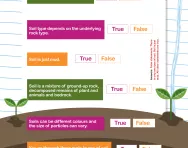 Rocks and soil facts worksheet