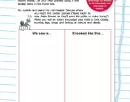 Searching for mini-beasts activity