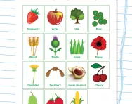 Seed dispersal revision worksheet