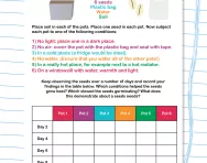 Seed germination investigation