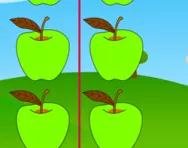 Share objects into two equal groups tutorial