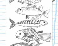 Spelling game fish