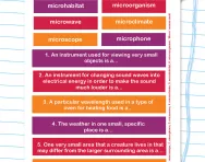 Spelling patterns: the prefix micro-