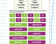 Spelling patterns: the prefixes ir-, il-, in- and im-