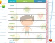The human body and its parts worksheet