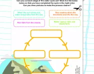 The water cycle activity