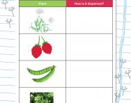 Thinking about seed dispersal worksheet