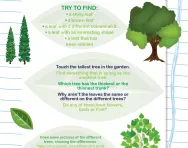 Tree treasure hunt