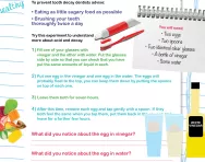 Understanding acids and decay activity