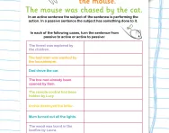 Understanding active and passive worksheet
