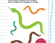 Use string to measure