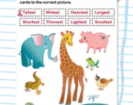 Measurement: using correct vocabulary