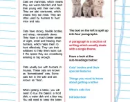 Using paragraphs worksheet