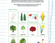 What do we use plants for?