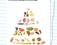 What is good food? activity