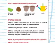 What plants need to grow