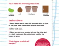 What plants need to grow part 2